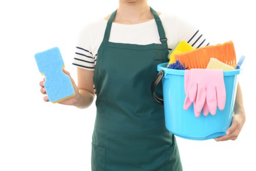 Expert cleaners working in a Mayfair living room