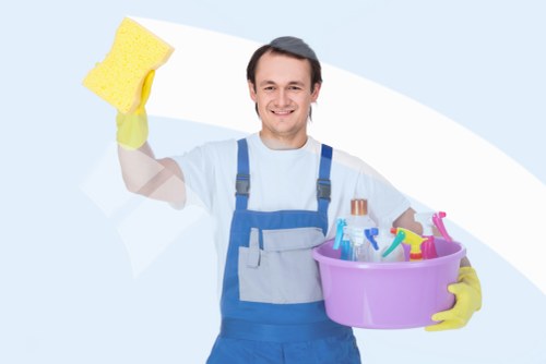 Eco-friendly cleaning solutions for ovens
