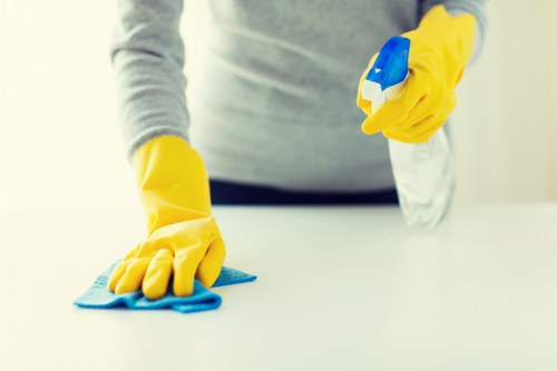 Comprehensive cleaning services in Mayfair