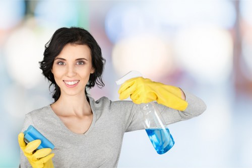 Sustainable cleaning solutions offered by Mayfair Cleaners