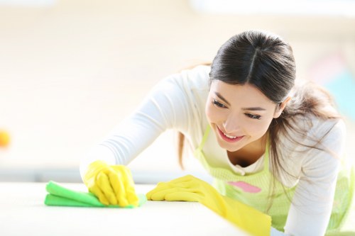 Mayfair Cleaners team cleaning an oven